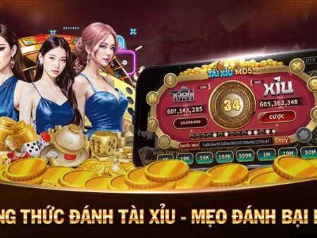 Nhà Cái Khuyến Mãi Cược Miễn Phí – Free Bet Promotions