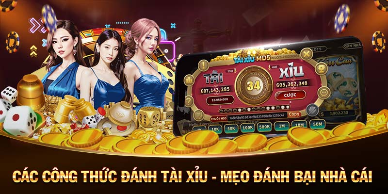 Nhà Cái Khuyến Mãi Cược Miễn Phí - Free Bet Promotions